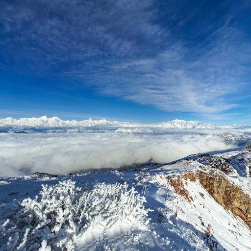 沙漠与冰雪