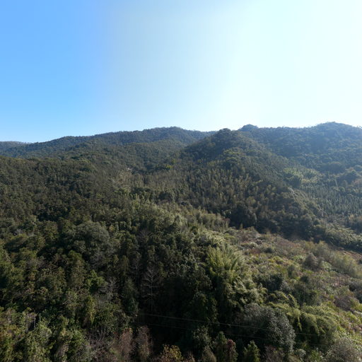 峰福50号点：K229+850(路堑)