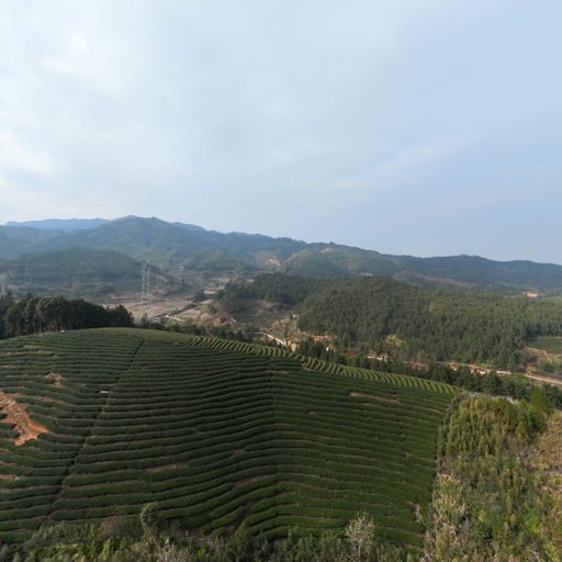 合福42号点：K1562 470（路堑）