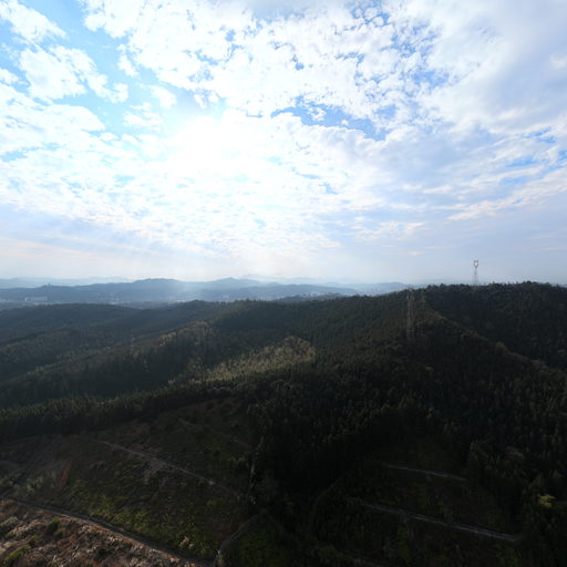 合福49号点-2：K1599 300（童游明洞进口）