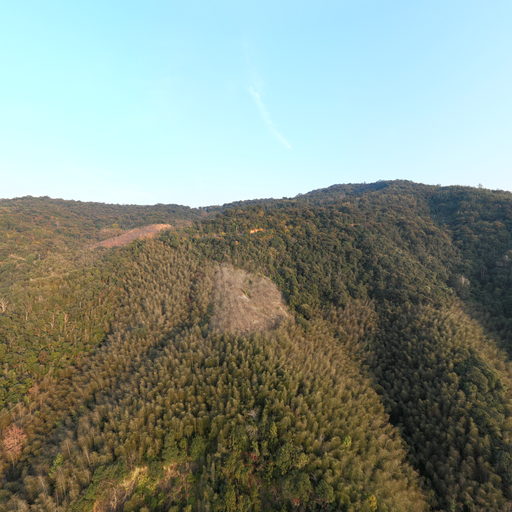 峰福39号点：K225+900(路堑)