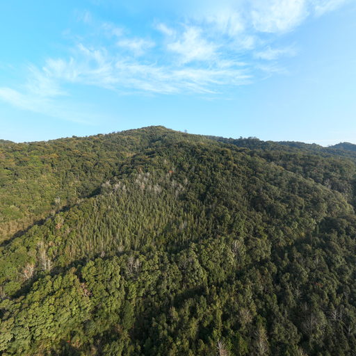 峰福40号点：K226+180、250(路堑)-2