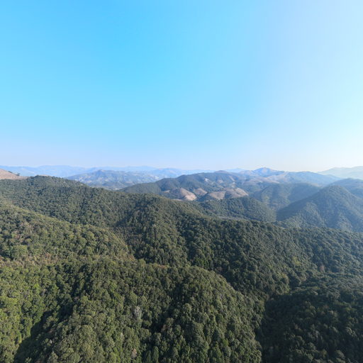 峰福44号点：K227+600、650(路堤)-2