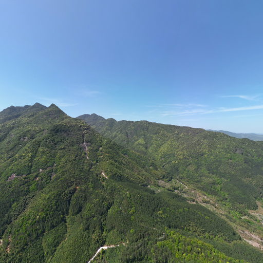 政和县界溪库区移民生猪饲养基地