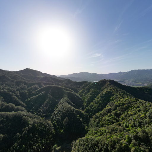 政和县宏发养殖专业合作社