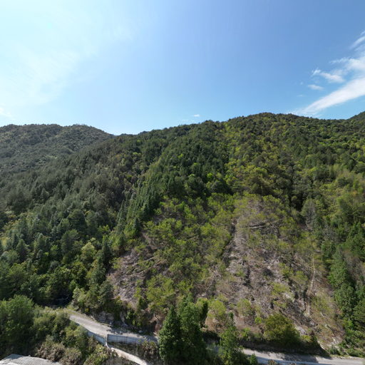 政和县振细生猪养殖场