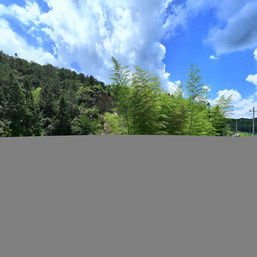 政和县镇前天鹏生猪养殖专业合作社