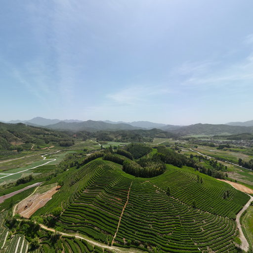 政和县显旺养殖场