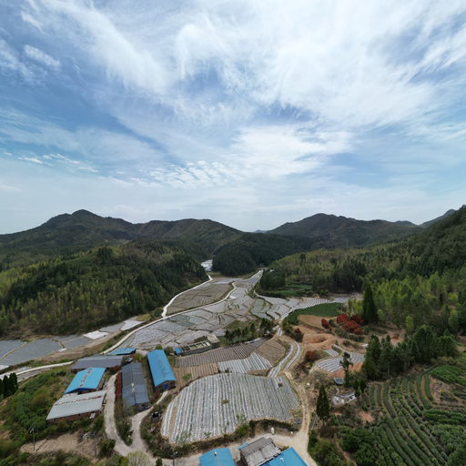 政和县镇前天鹏生猪养殖专业合作社