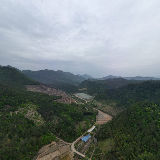 政和县孙玉生猪养殖专业合作社