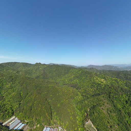 福建省政和耕山生猪养殖有限公司