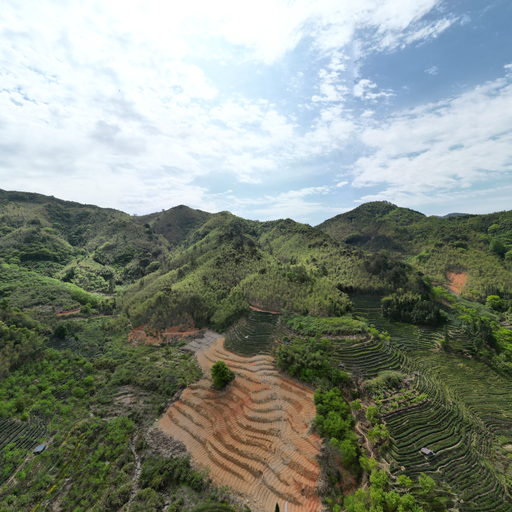 政和县顺发生猪养殖专业合作社