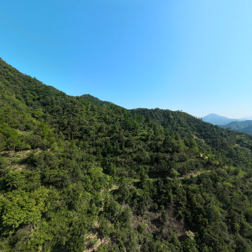 歙县双重工程全景