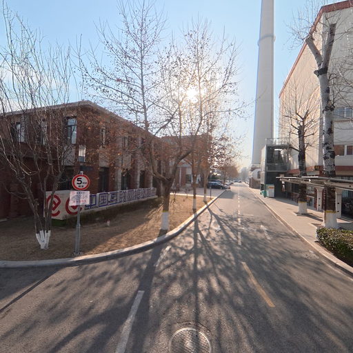 左侧内部路4-岔口