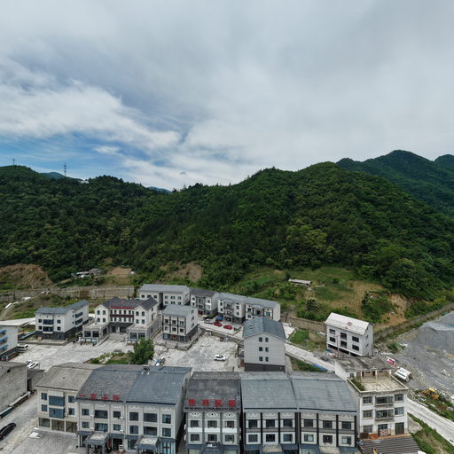 松柏