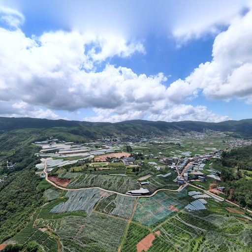 花同车厘子基地全景